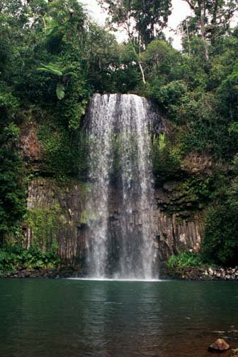 AUS QLD MillaaMillaaFalls 2001JUL17 003