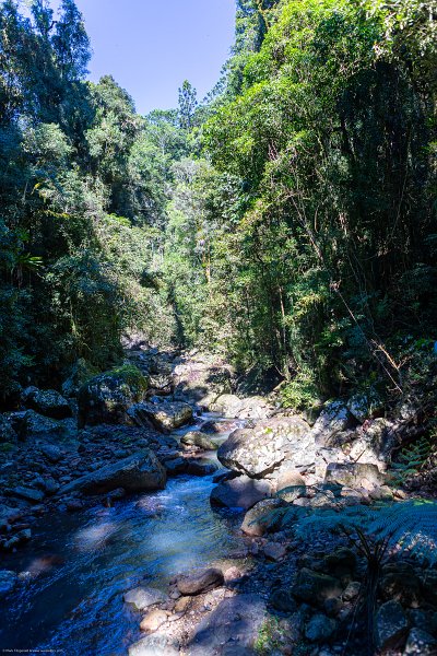 AUS QLD NaturalBridge 2024MAY13 010