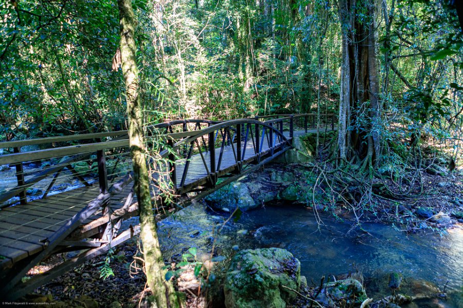 AUS QLD NaturalBridge 2024MAY13 040