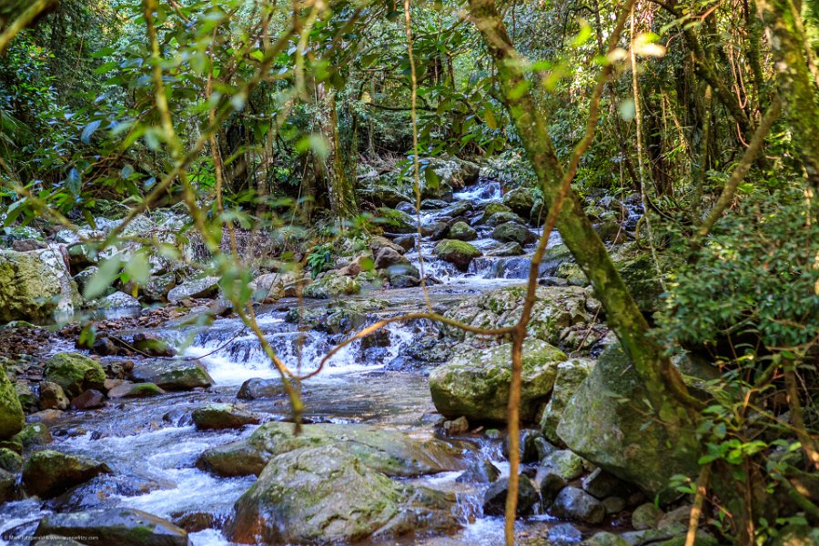 AUS QLD NaturalBridge 2024MAY13 043