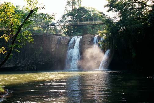 AUS QLD ParonellaPark 2001JUL17 007