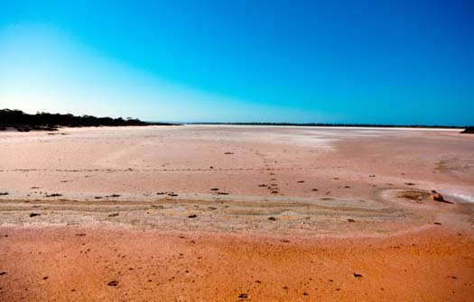 AUS SA LakeEverard 2010OCT08 003