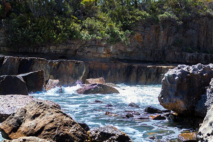 AUS TAS TasmanNP 2015JAN24 TheBlowhole 019