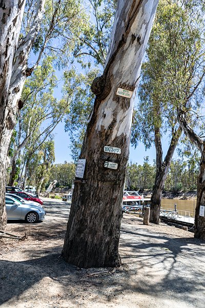 AUS VIC Echuca 2017DEC22 MVMaryAnn 001