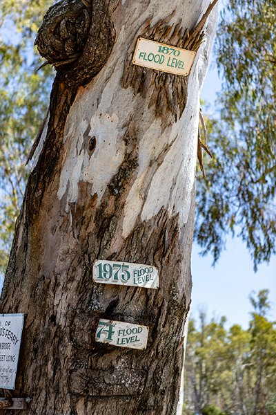 AUS VIC Echuca 2017DEC22 MVMaryAnn 002