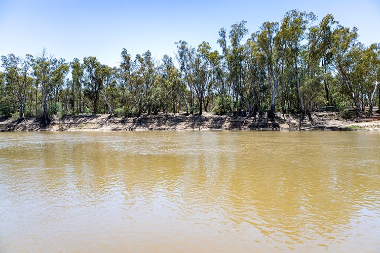 AUS VIC Echuca 2017DEC22 MVMaryAnn 007