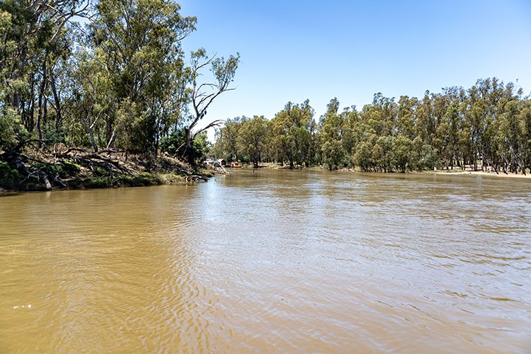 AUS VIC Echuca 2017DEC22 MVMaryAnn 019