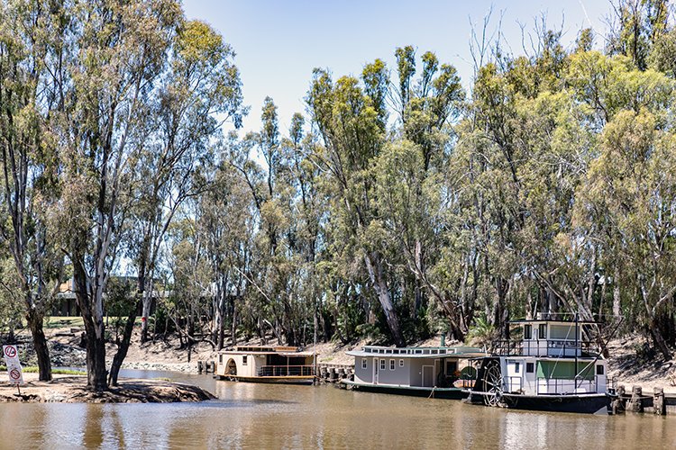 AUS VIC Echuca 2017DEC22 MVMaryAnn 021