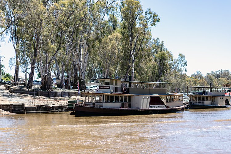 AUS VIC Echuca 2017DEC22 MVMaryAnn 033