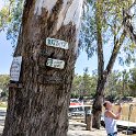 AUS VIC Echuca 2017DEC22 MVMaryAnn 003 : - DATE, - PLACES, - TRIPS, 10's, 2017, 2017 - More Miles Than Santa, Australia, Day, December, Echuca, Friday, M.V. Mary Ann Cruising, Month, VIC, Year