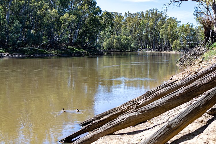 AUS VIC Echuca 2017DEC22 EchucaPort 011