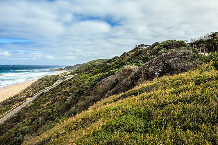 AUS VIC Portsea 2013MAR29 SLC 007