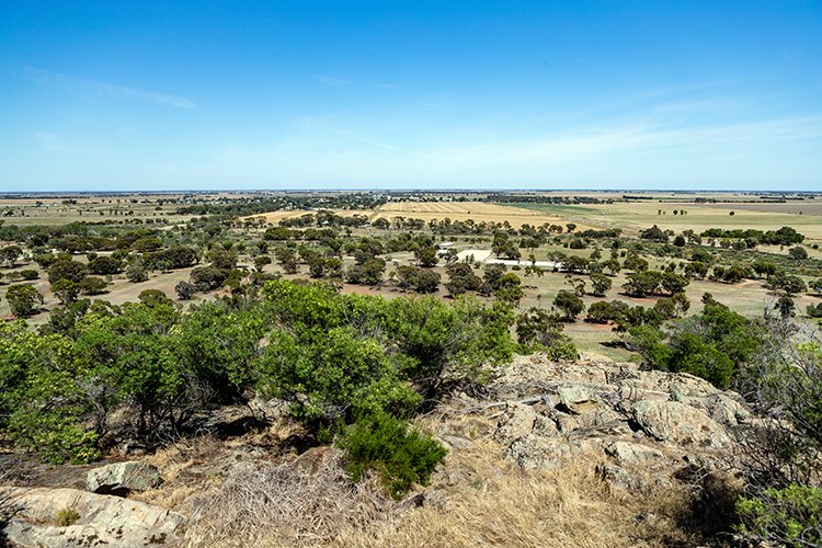 AUS VIC PyramidHill 2017DEC24 001