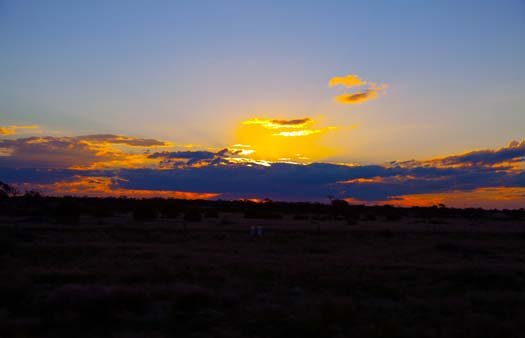 2010OCT04 AUST VIC Robinvale 001