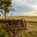 AUS VIC Yarrawalla 2017DEC24 001  I got up just before dawn at   Karlie Schmidt's   family sheep property in Yarrawalla, just outside   Pyramid Hill   and spent the best part of 2 hours just wandering around with my camera. : - DATE, - PLACES, - TRIPS, 10's, 2017, 2017 - More Miles Than Santa, Australia, Day, December, Month, Schmidt Sheep Station, Sunday, VIC, Yarrawalla, Year