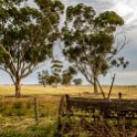 AUS VIC Yarrawalla 2017DEC24 002 : - DATE, - PLACES, - TRIPS, 10's, 2017, 2017 - More Miles Than Santa, Australia, Day, December, Month, Schmidt Sheep Station, Sunday, VIC, Yarrawalla, Year