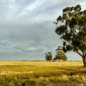 AUS VIC Yarrawalla 2017DEC24 009 : - DATE, - PLACES, - TRIPS, 10's, 2017, 2017 - More Miles Than Santa, Australia, Day, December, Month, Schmidt Sheep Station, Sunday, VIC, Yarrawalla, Year