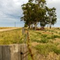 AUS VIC Yarrawalla 2017DEC24 012 : - DATE, - PLACES, - TRIPS, 10's, 2017, 2017 - More Miles Than Santa, Australia, Day, December, Month, Schmidt Sheep Station, Sunday, VIC, Yarrawalla, Year