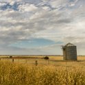 AUS VIC Yarrawalla 2017DEC24 016 : - DATE, - PLACES, - TRIPS, 10's, 2017, 2017 - More Miles Than Santa, Australia, Day, December, Month, Schmidt Sheep Station, Sunday, VIC, Yarrawalla, Year