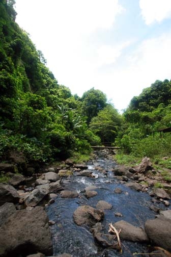 PYF Tahiti FaarumaiWaterfalls 2007FEB13 HaamaremareRahi 004