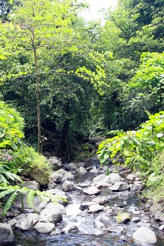 PYF Tahiti FaarumaiWaterfalls 2007FEB13 Vaimahuta 007