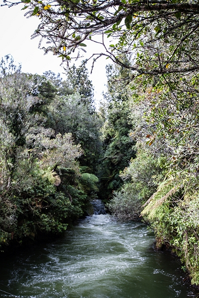 NZL BOP OkereFalls 2011SEPT15 003