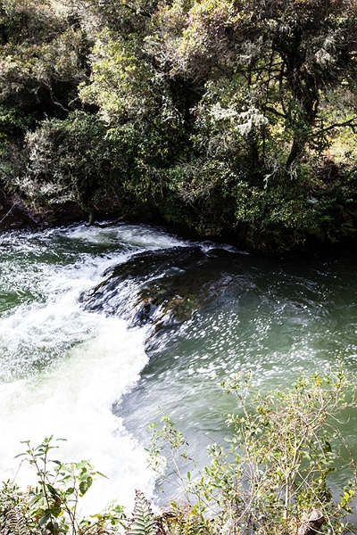 NZL BOP OkereFalls 2011SEPT15 005