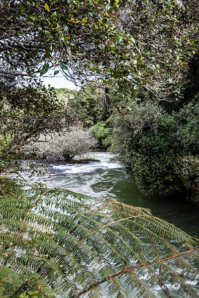 NZL BOP OkereFalls 2011SEPT15 006