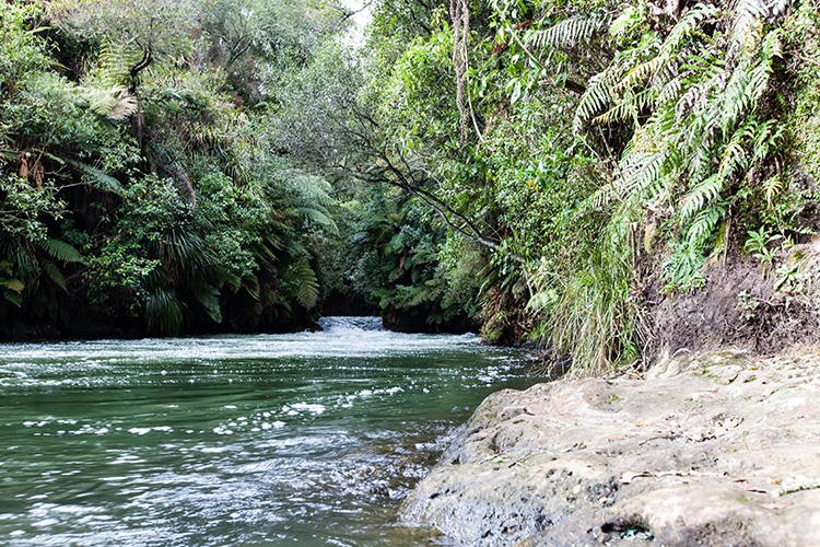 NZL BOP OkereFalls 2011SEPT15 007