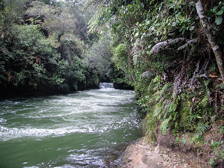 NZL BOP OkereFalls 2011SEPT15 008