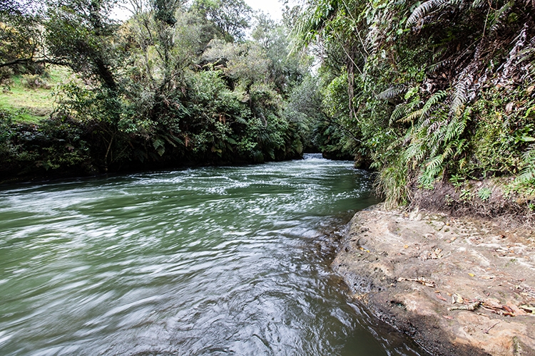 NZL BOP OkereFalls 2011SEPT15 010