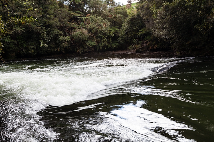 NZL BOP OkereFalls 2011SEPT15 012