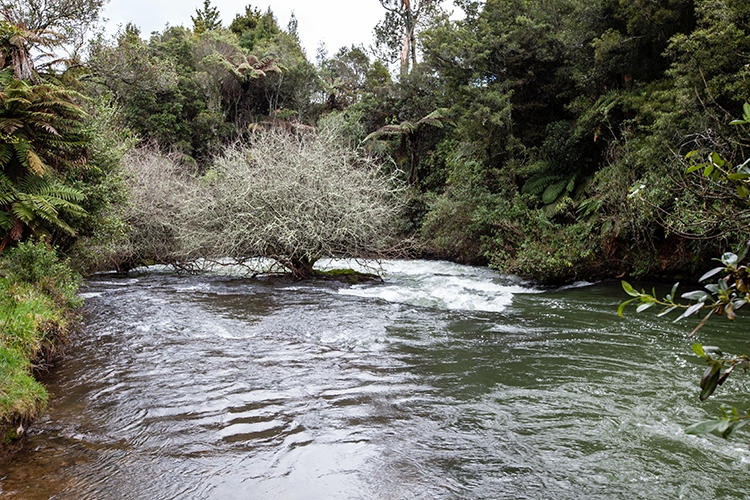 NZL BOP OkereFalls 2011SEPT15 014