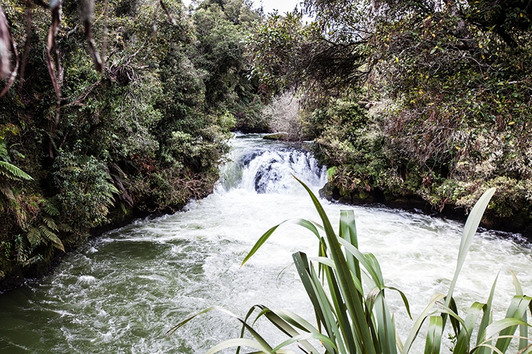 NZL BOP OkereFalls 2011SEPT15 018