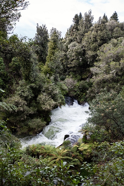 NZL BOP OkereFalls 2011SEPT15 024