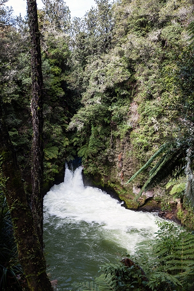 NZL BOP OkereFalls 2011SEPT15 025