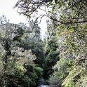 NZL_BOP_OkereFalls_2011SEPT15_003.jpg