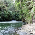 NZL_BOP_OkereFalls_2011SEPT15_007.jpg