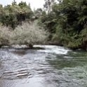 NZL_BOP_OkereFalls_2011SEPT15_014.jpg