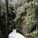 NZL_BOP_OkereFalls_2011SEPT15_025.jpg