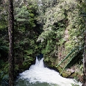 NZL_BOP_OkereFalls_2011SEPT15_027.jpg