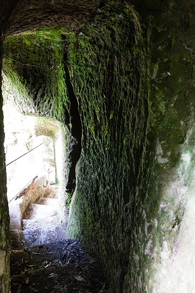 NZL BOP TuteasCaves 2011SEPT15 002