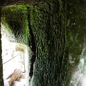 NZL_BOP_TuteasCaves_2011SEPT15_002.jpg