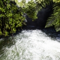 NZL_BOP_TuteasCaves_2011SEPT15_004.jpg