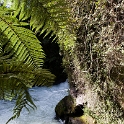 NZL BOP TuteasCaves 2011SEPT15 005 : 2011, 2011 - Rugby World Cup, Bay Of Plenty, Date, Golden Oldies Rugby Union, Month, New Zealand, Oceania, Places, Rugby Union, September, Sports, Trips, Tuteas Caves, Year