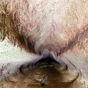 NZL_BOP_TuteasCaves_2011SEPT15_006.jpg