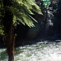 NZL BOP TuteasCaves 2011SEPT15 013 : 2011, 2011 - Rugby World Cup, Bay Of Plenty, Date, Golden Oldies Rugby Union, Month, New Zealand, Oceania, Places, Rugby Union, September, Sports, Trips, Tuteas Caves, Year