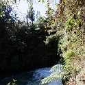 NZL_BOP_TuteasCaves_2011SEPT15_015.jpg