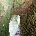 NZL_BOP_TuteasCaves_2011SEPT15_016.jpg