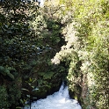 NZL_BOP_TuteasCaves_2011SEPT15_017.jpg